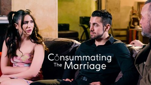 Consummating The Marriage – Jane Wilde